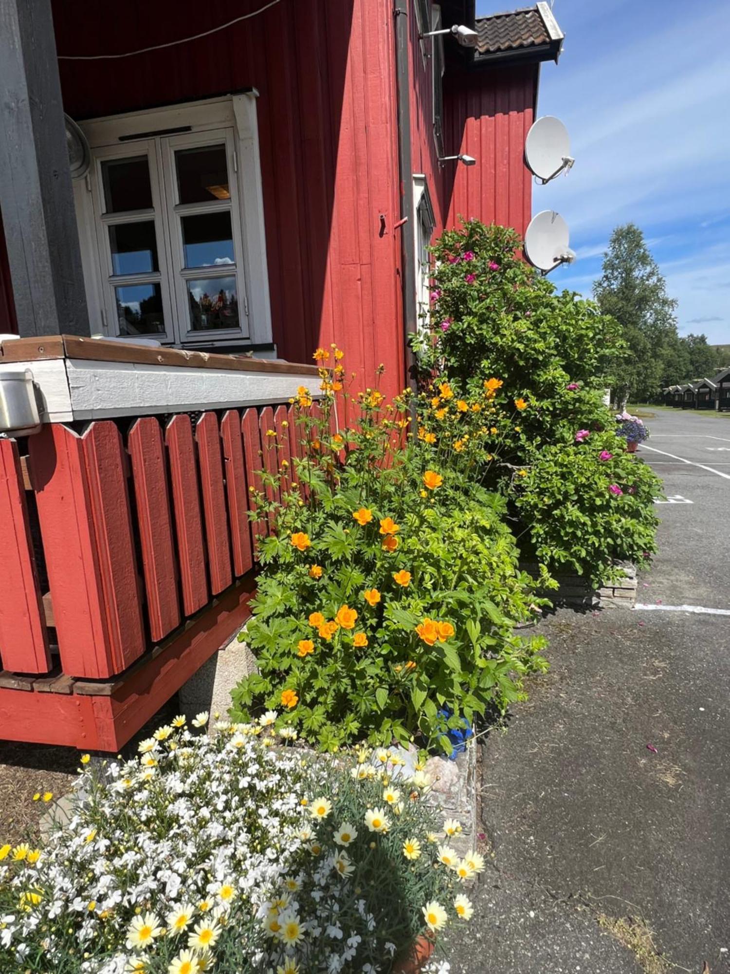 Gullvag Camping Nyberg Soknedal Exterior foto