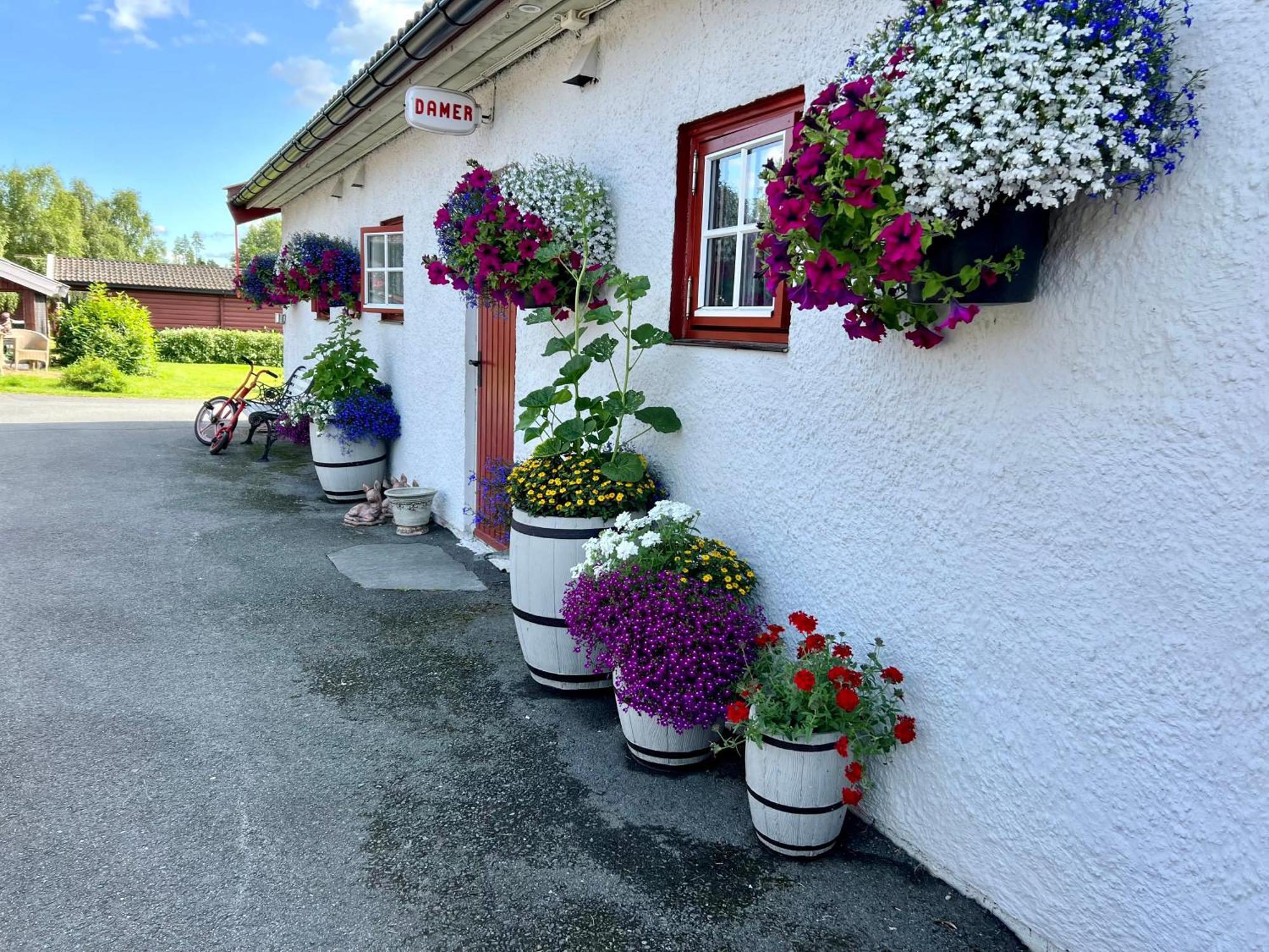 Gullvag Camping Nyberg Soknedal Exterior foto
