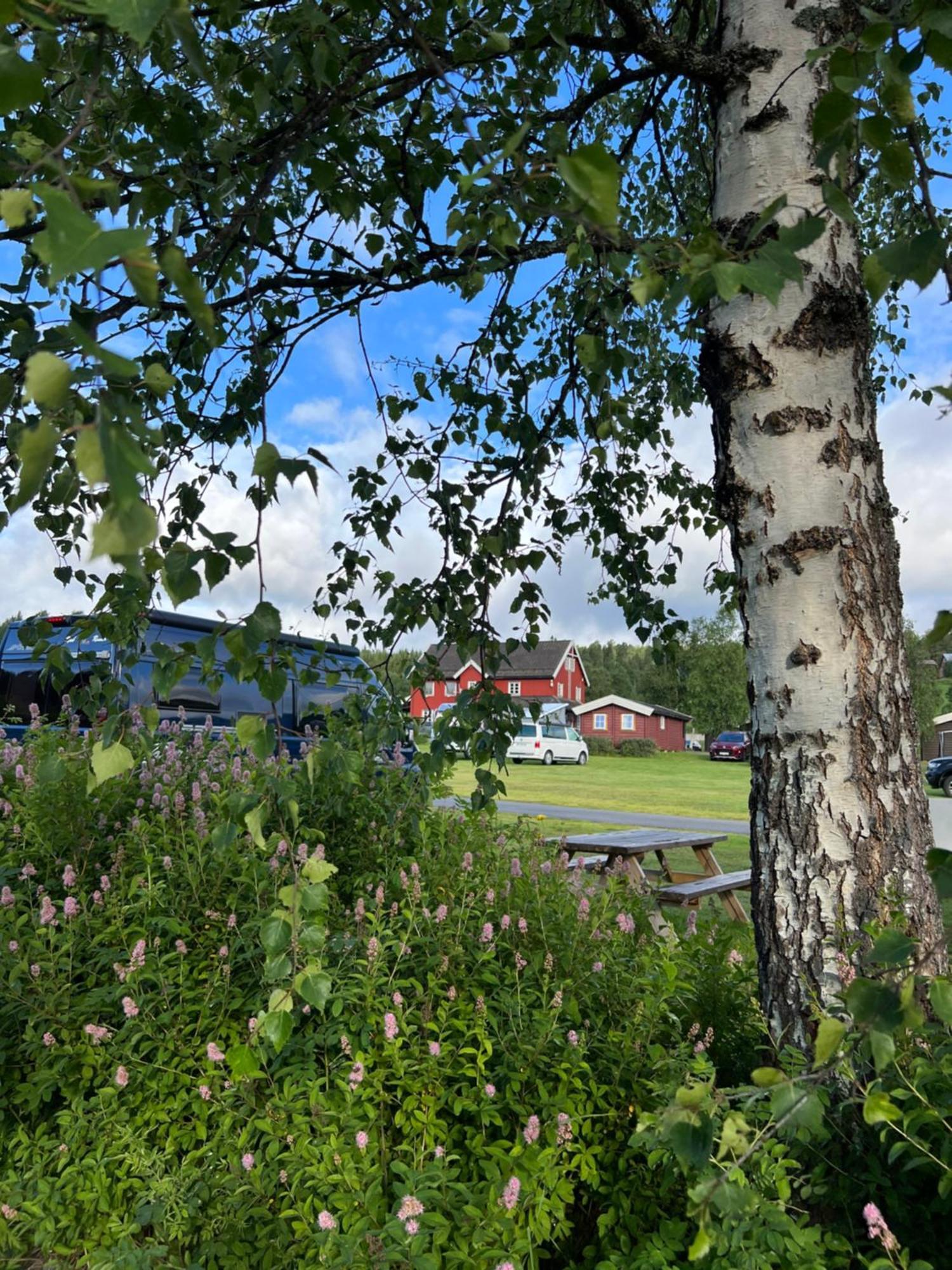 Gullvag Camping Nyberg Soknedal Exterior foto